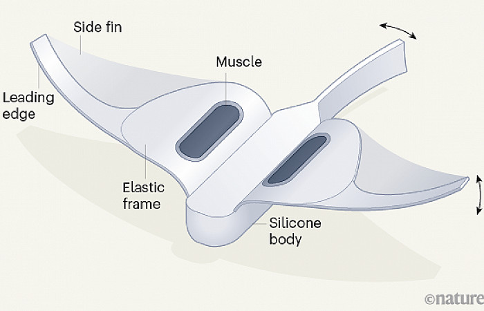 ދުނިޔޭގެ ކަނޑުގެ އެންމެ ފުނަށް ރޮބޮޓެއް ދަތުރުކޮށްފި