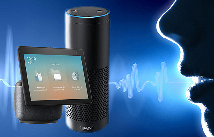 އެމެޒަން އެލެކްސާ އިން ވޮއިސް މިމިކް ކުރަން ފަށަނީ