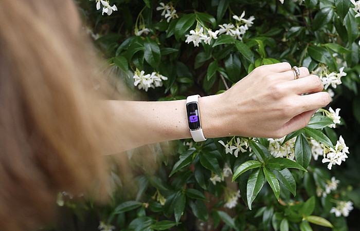 އަންހެނުންނަށް ހާއްސަ ވެއަރަބަލް ޓެކްގެ މާކެޓު