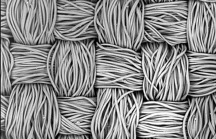 މާސްކެއް – މައިކްރޮސްކޯޕުން ފެންނަނީ މި ގޮތަަށް