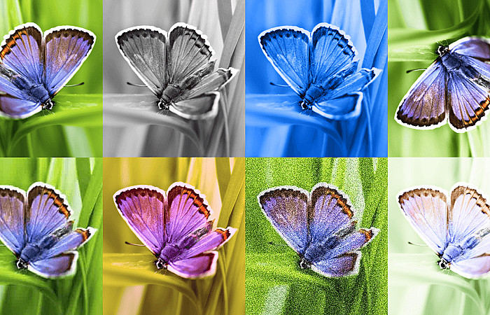 އޭއައި އިން އުފައްދާ ފޮޓޯ ދެނެގަނެވޭނެ ޓޫލެއް އުފައްދައިފި