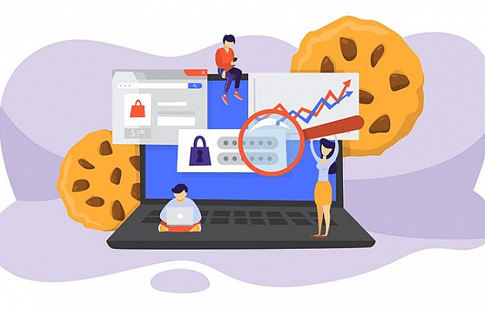 ކުކީސްއާއި ޑޭޓާ ޕްރައިވެސީ