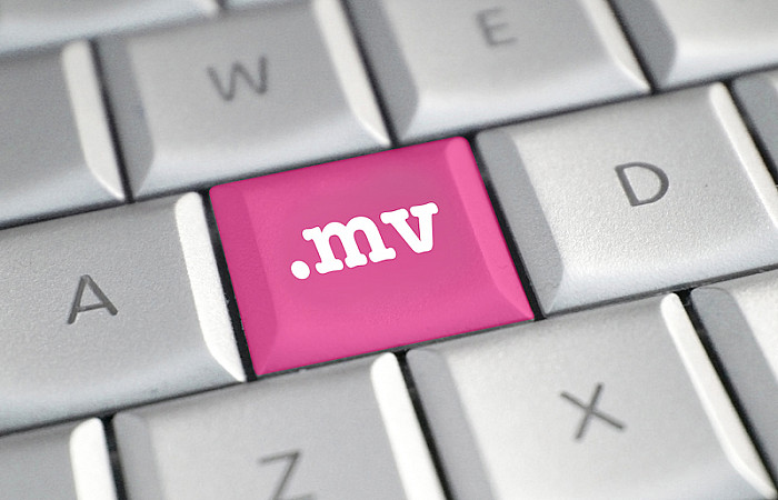 ތާނައިން ވެބް އެޑްރެސް ލިޔާ އުސޫލު ހެދުމަށް ދިވެހި ޕެނަލެއް