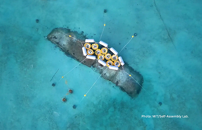 އެމްއައިޓީގެ "ގްރޯވިންގ އައިލެންޑްސް" މަޝްރޫއު ރާއްޖޭގައި