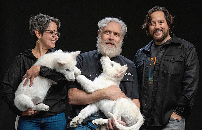 ޑައި ވުލްފް އާއި ގާތް ސްޕީޝީސެއް އަލުން ދިރުވައިފި