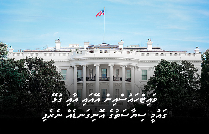 ވައިޓްހައުސްއިން އޭއައި އާއި ގުޅޭ  ގައުމީ ސިޔާސަތުގެ އޮނިގަނޑެއް ނެރެފި