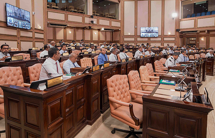 ޑިޖިޓަލް ރައްކާތެރިކަމަށް މުހިއްމު 2 ބިލެއް މަޖުލީހަށް ހުށަހަޅައިފި