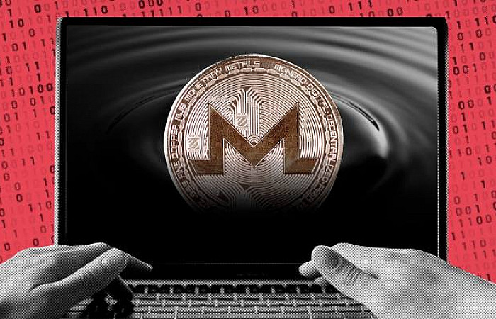 ސައިބަރ ކްރިމިނަލުންގެ ކަޅު ފައިސާ އަކަށް މޮނީރޯ