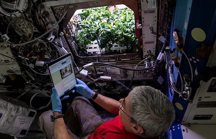 ނާސާއިން ޖައްވުގައި މިރުސް ހައްދައިފި