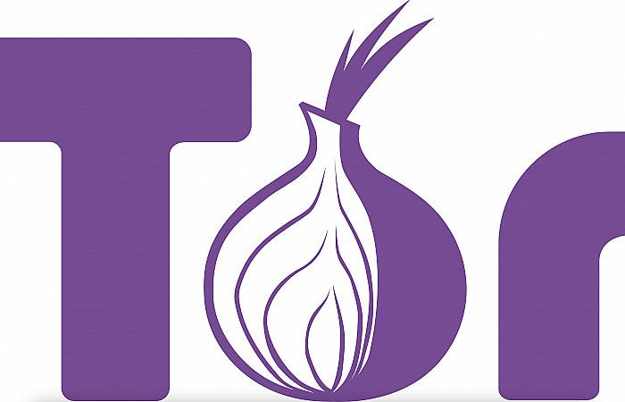 ޓޯރ ބްރައުޒަރ ޕްރައިވެސީ ދެމެހެއްޓުމަށް ގޮންޖެހުން އެބަހުރި